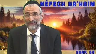 Le sens caché des Chérubins - Livre Néfech Ha'Haïm - Chap. 8 (P15) - Rav Ron Chaya