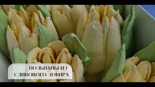 Х КУРС ПО ТЮЛЬПАНАМ ИЗ ЗЕФИРА.