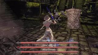 Skyrim: 3 Bosses Combat with True Directional Movement