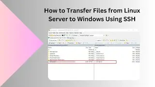 How to Transfer Files from Linux Server to Windows Using SSH