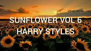 Harry Styles - Sunflower Vol 6 (Lyrics)