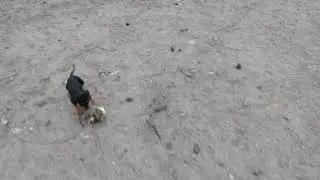 VID 20210429 193527