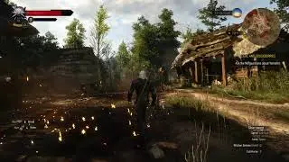 Witcher 3 GTX 1660ti All Settings Maxed Gameplay 2021