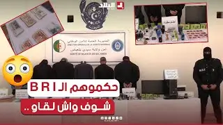 مصالح الأمن تفكك شبكة دولية مختصة في التزوير بـ 