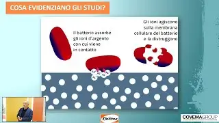 Pitture Antibatteriche a base di ioni di Argento: efficaci anche contro i virus?