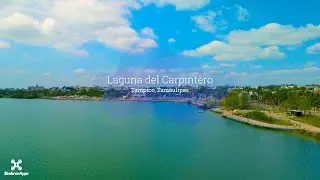 Laguna del Carpintero