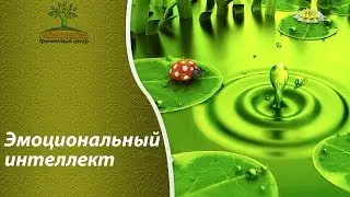 Эмоциональный интеллект
