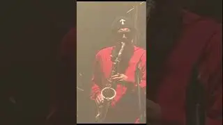 Casiopea VS T Square - Asayake  Live 2003 |#Shorts