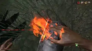 Game Multiplayer  Far Cry 2 &  server discord 