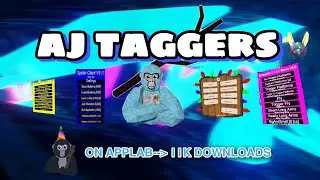 Reviewing AJ Taggers!