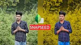 Snapseed Yellow Tone | Snapseed Amazing Photo Editing Trick - LEGEND EDIT