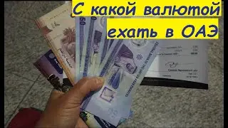 What currency to bring to the UAE * about currency exchange * about card payments / UAE, Dubai