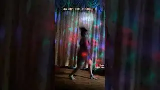 ах жизнь хороша! 💃