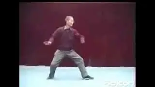 Chen Taijiquan. Master Wan Wende (万文德)