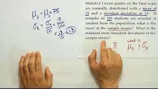 The mean of the sample means and the standard error of the mean