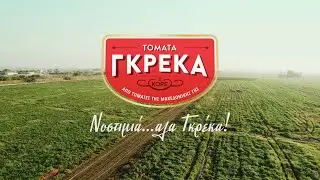 Τομάτα Γκρέκα! Από τον Σερραϊκό κάμπο...στο πιάτο σας.