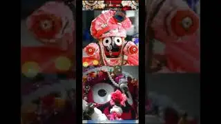 Kalia❤️🙏….#rathayatra2024 #puri #jagannath #rekalia