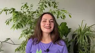 8: Care After Purchase | Houseplant Guide for Beginners | PLANT CRASH COURSE