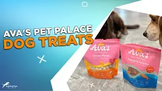 Review: Ava's Pet Palace Dog Treats