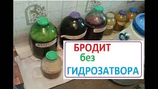 Я не ставлю ГИДРОЗАТВОР  при брожении вина.  ПОЧЕМУ Гидрозатвор не нужен
