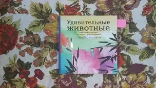 Обзор раскраски УДИВИТЕЛЬНЫЕ ЖИВОТНЫЕ