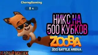 Никс на 500 кубков: Zooba