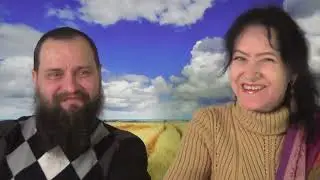 Обратная связь по комментариям