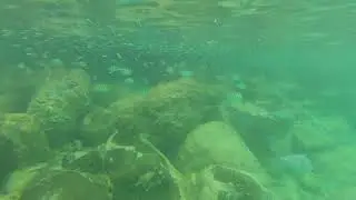Snorkelling Princess Cays 2018
