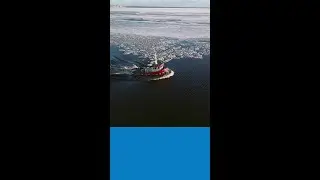 This Is How Tugboats Move Ships