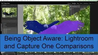 Being Object Aware: Lightroom and Capture One Comparisons