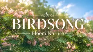 Summer Bird Sounds, Relaxing Nature Sounds for Relaxation