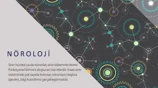 Nöroloji