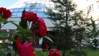 Клип ко Дню учителя 2021 - Школа 152