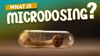 Microdosing Magic Mushrooms: Benefits and Considerations