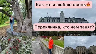 Перекличка, кто чем занят? Сколько нас? Как же я люблю осень🍁🍁🍁. А какое время года любите вы?