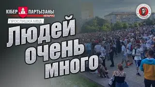 Слив - 