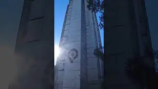 Пицунда зимой шортс Shorts 1