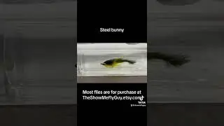 Part 1 of flies in a fly tester!Online fly shop- TheShowMeFlyGuy.etsy.comBlog 