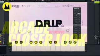 A Closer Look at Arcade by Output 2021