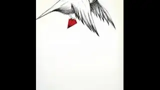 S.AMATO 