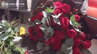 Пионовидные розы Red piano
