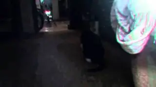 убийство комара  (Created with @Magisto)