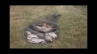 Неплохо отрыбачил