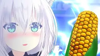 FOX CORN🌽