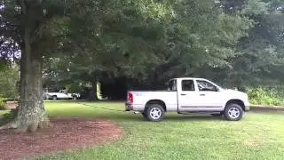 Dodge Ram против дерева