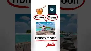 تعلم الإنجليزي بسهولة  #انجليزي