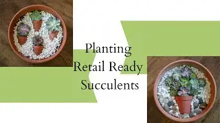 Planting Succulent Planters For Retail Sales
