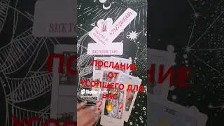 #таро