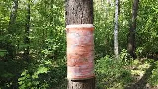 Каштак 20 мая 2023