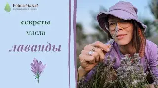 Разговор с лавандой